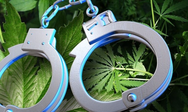 24-year-old gifted life imprisonment for trafficking cannabis (marijuana)