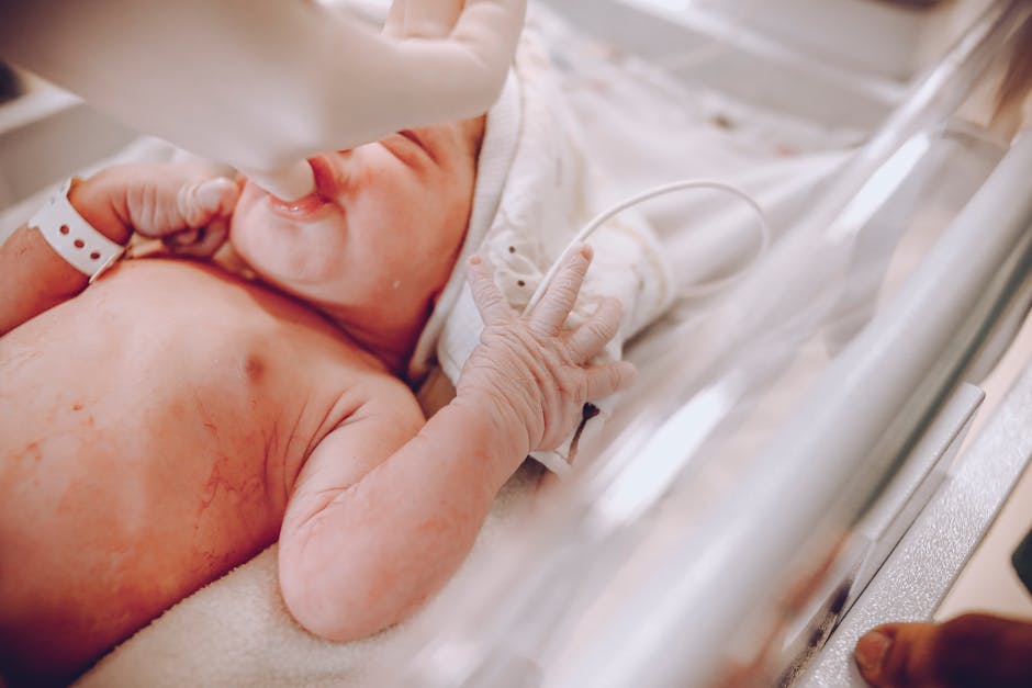 birth rate record low
