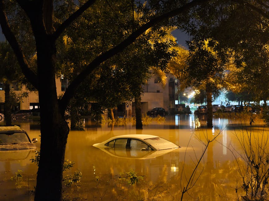 sinking cities sea level